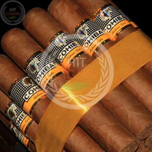 Cohiba Robustos - HitCigars