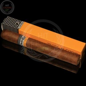 Cohiba Siglo IV (5x5 Packs) - HitCigars