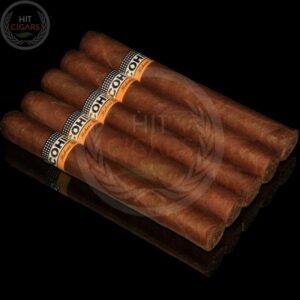 Cohiba Siglo IV (5x5 Packs) - HitCigars