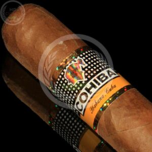 Cohiba Siglo VI (Cab of 10) - HitCigars