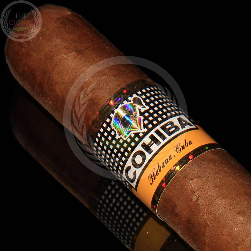 Cohiba Siglo VI - HitCigars
