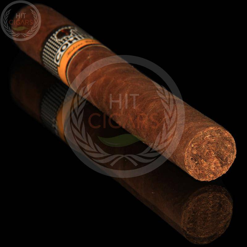 Cohiba Siglo VI - HitCigars