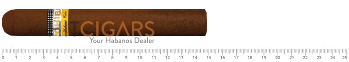 Cohiba Siglo VI