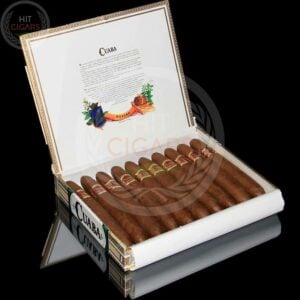 Cuaba Distinguidos - HitCigars