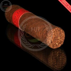 Partagas Serie D No.5 (Box of 10) - HitCigars