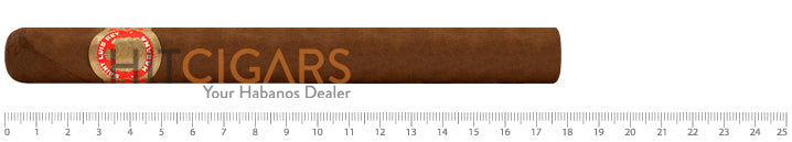 Saint Luis Rey Churchills