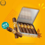 Zino Nicaragua Half Corona (Pre-Cut) 🍂 ‣ Only 20€👍