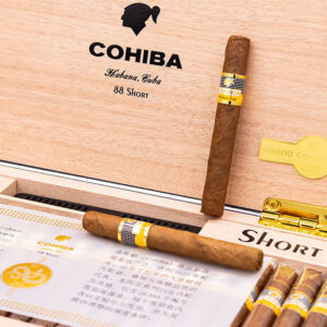 Cohiba Short Humidor Year of the Snake 3 Cohiba Short Humidor Year of the Snake π β£ Just 189β¬ π
