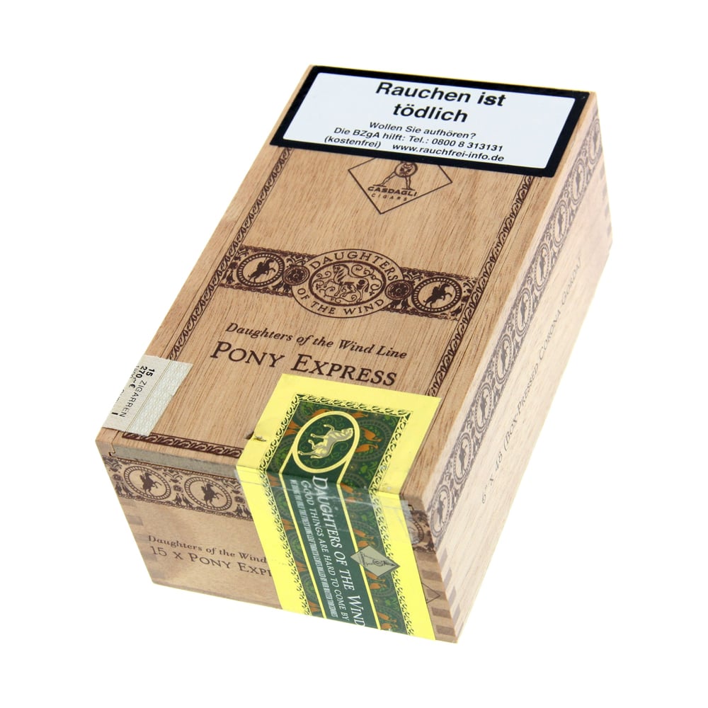 Casdagli Daughters of the Wind Pony Express 15's 🍂