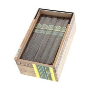 Casdagli Daughters of the Wind Pony Express 2 Casdagli Daughters of the Wind Pony Express 15's π